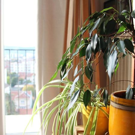 Chambre Zen Chez L'Habitant 瓦朗斯 外观 照片