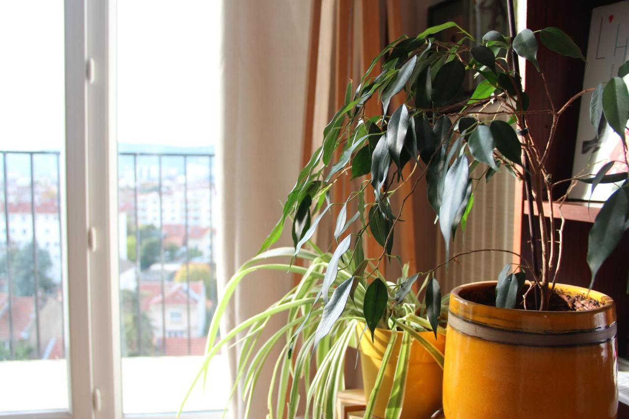 Chambre Zen Chez L'Habitant 瓦朗斯 外观 照片
